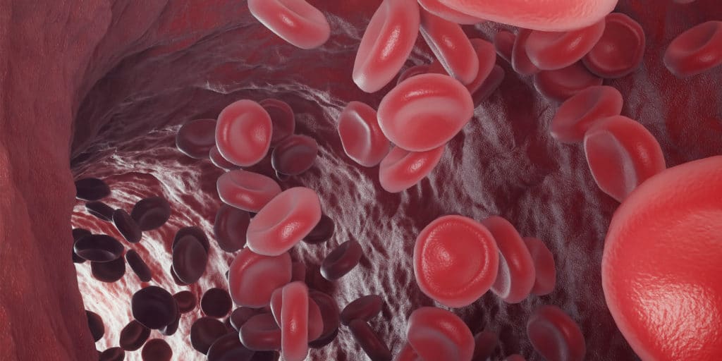 blood cells graphic Voorhees, NJ